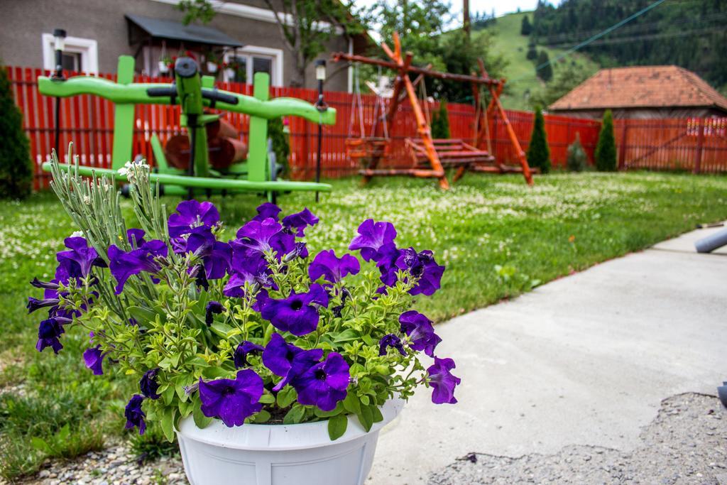 Bed and Breakfast Picnic Panzio Lunca de Sus Exterior foto