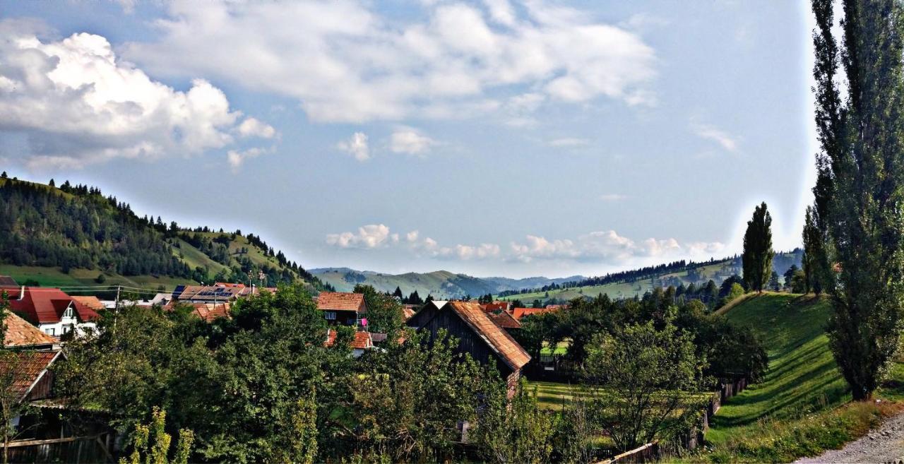 Bed and Breakfast Picnic Panzio Lunca de Sus Exterior foto