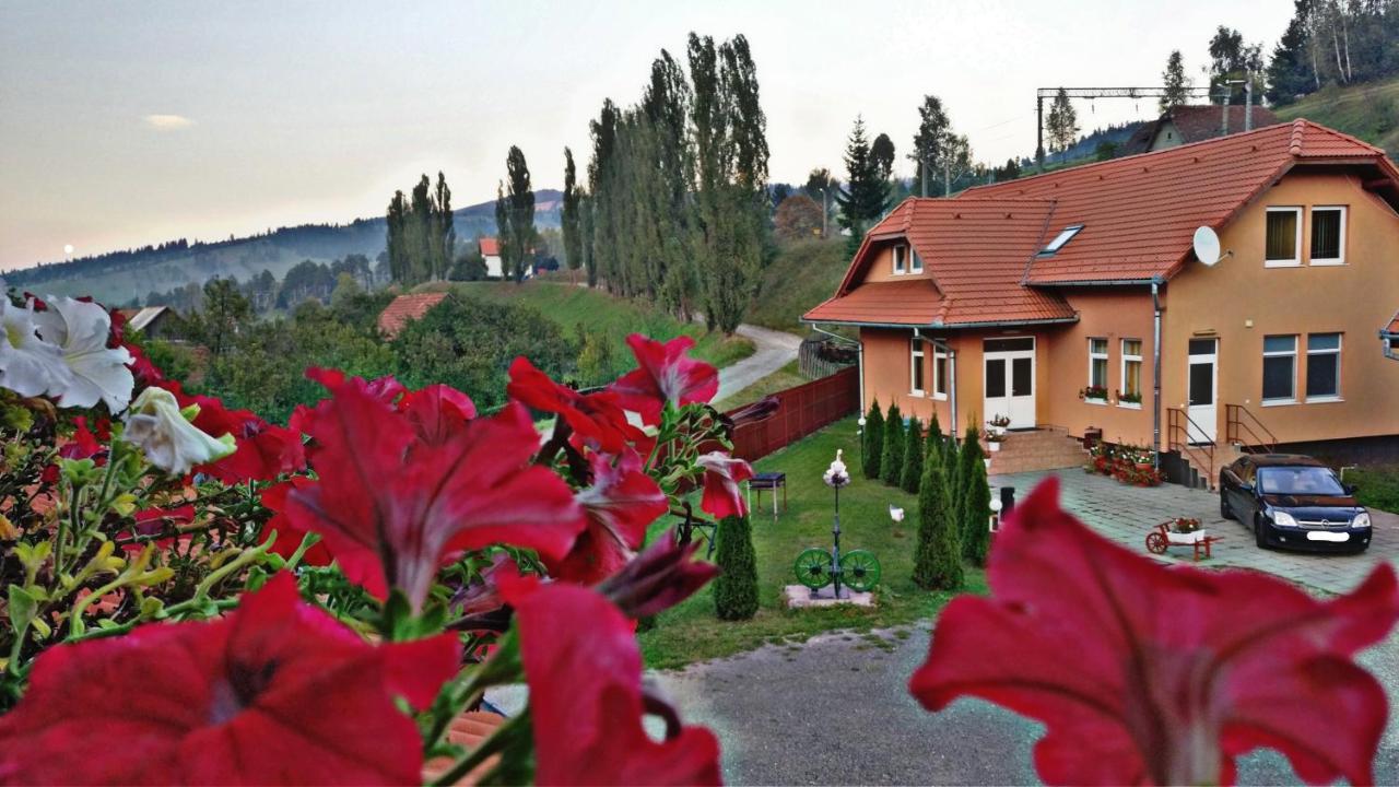 Bed and Breakfast Picnic Panzio Lunca de Sus Exterior foto