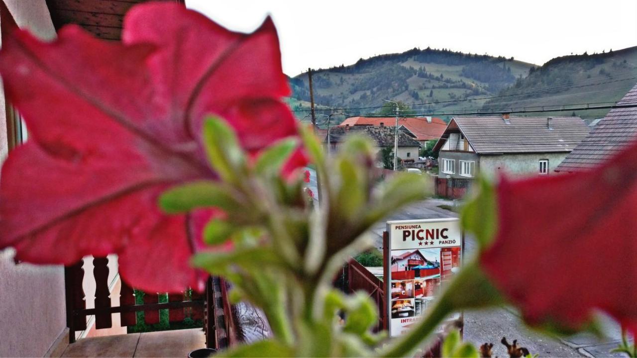 Bed and Breakfast Picnic Panzio Lunca de Sus Exterior foto